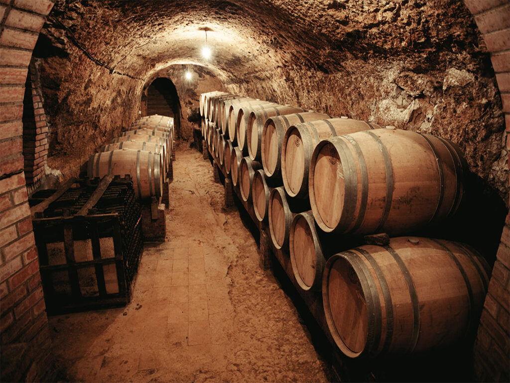 bodega-remigio-salas_21348596674_o