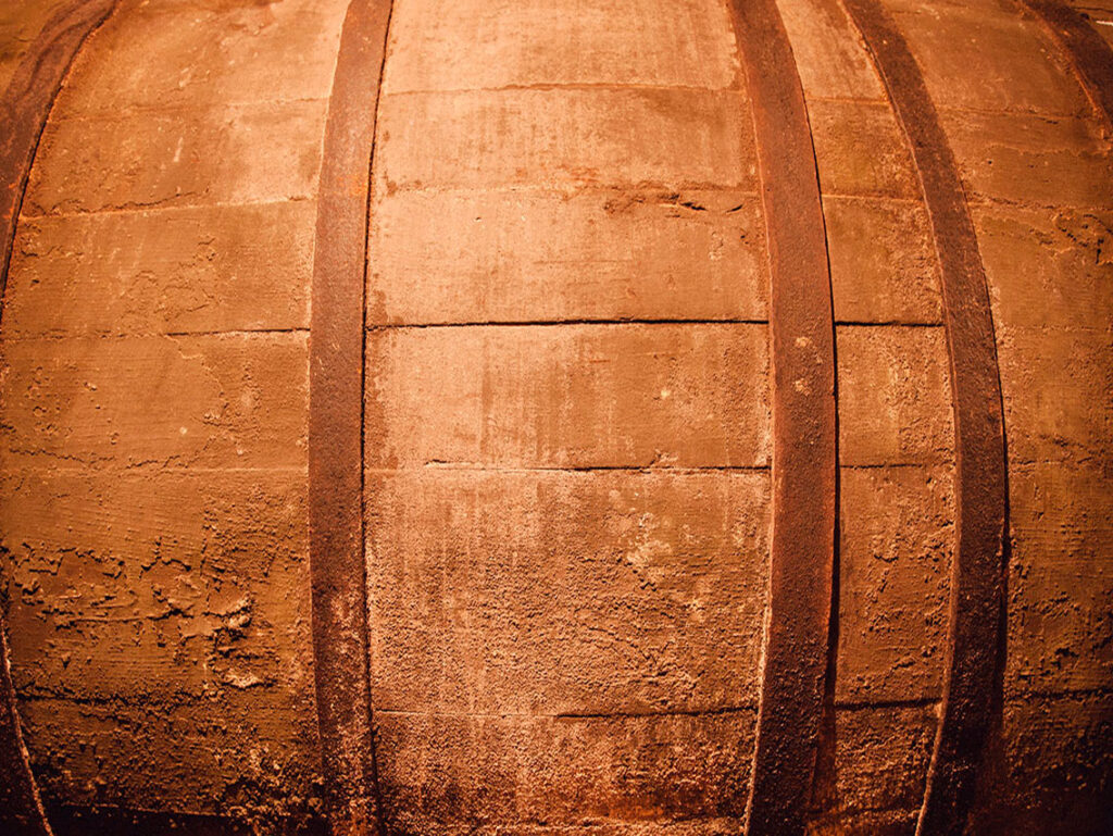 bodega-remigio-salas_21348612484_o