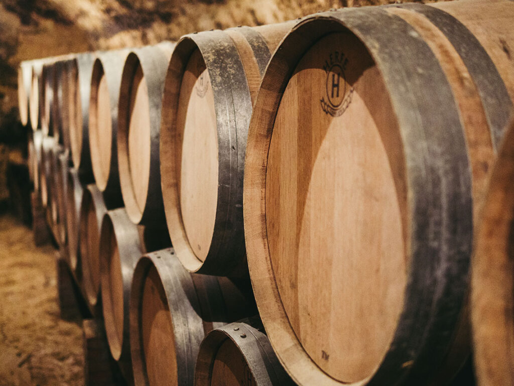 bodega-remigio-salas_21783495458_o