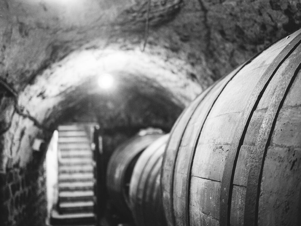 bodega-remigio-salas_21783504348_o