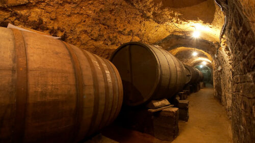 Bono Regalo Visita Bodega Estándar